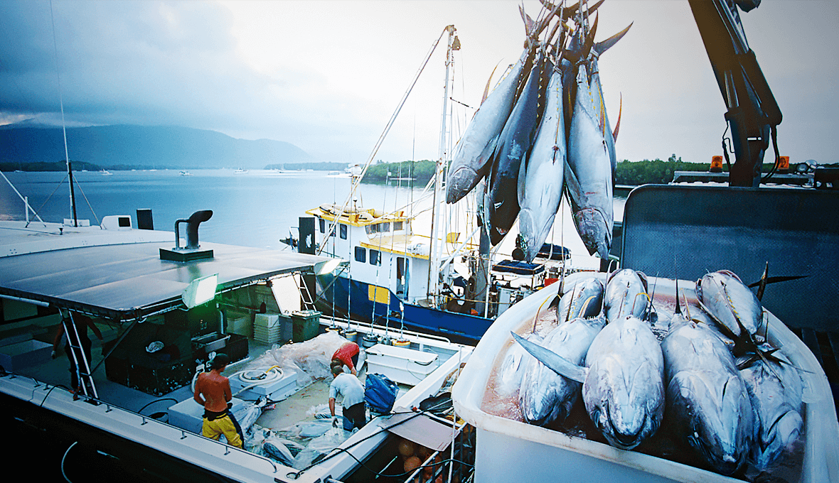 SPITWATER Cleaning Solutions for Marine and Fishing Applications