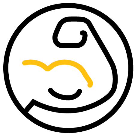 Icon_VACSTORM - Ruggedly Reliable-450x450